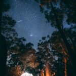 person sitting near bonfire surrounded by trees