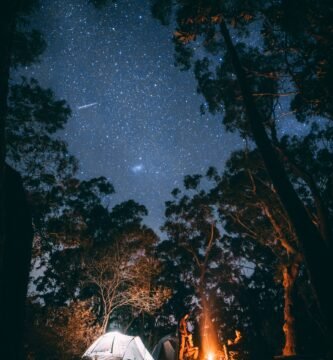 person sitting near bonfire surrounded by trees